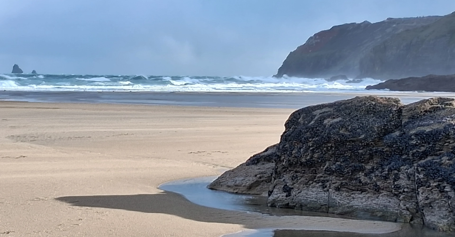 Anna Huebler-Dryden - Autism Coach