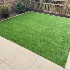 Transform Your Outdoor Space with Expert Care