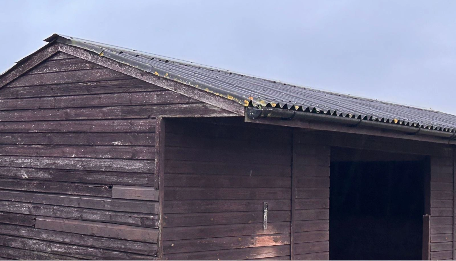 Old timber shed with weathered corrugated roof panels