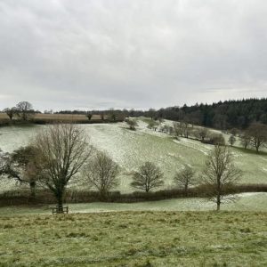 2 Pegs at Bradley Shoot, Somerset Estate