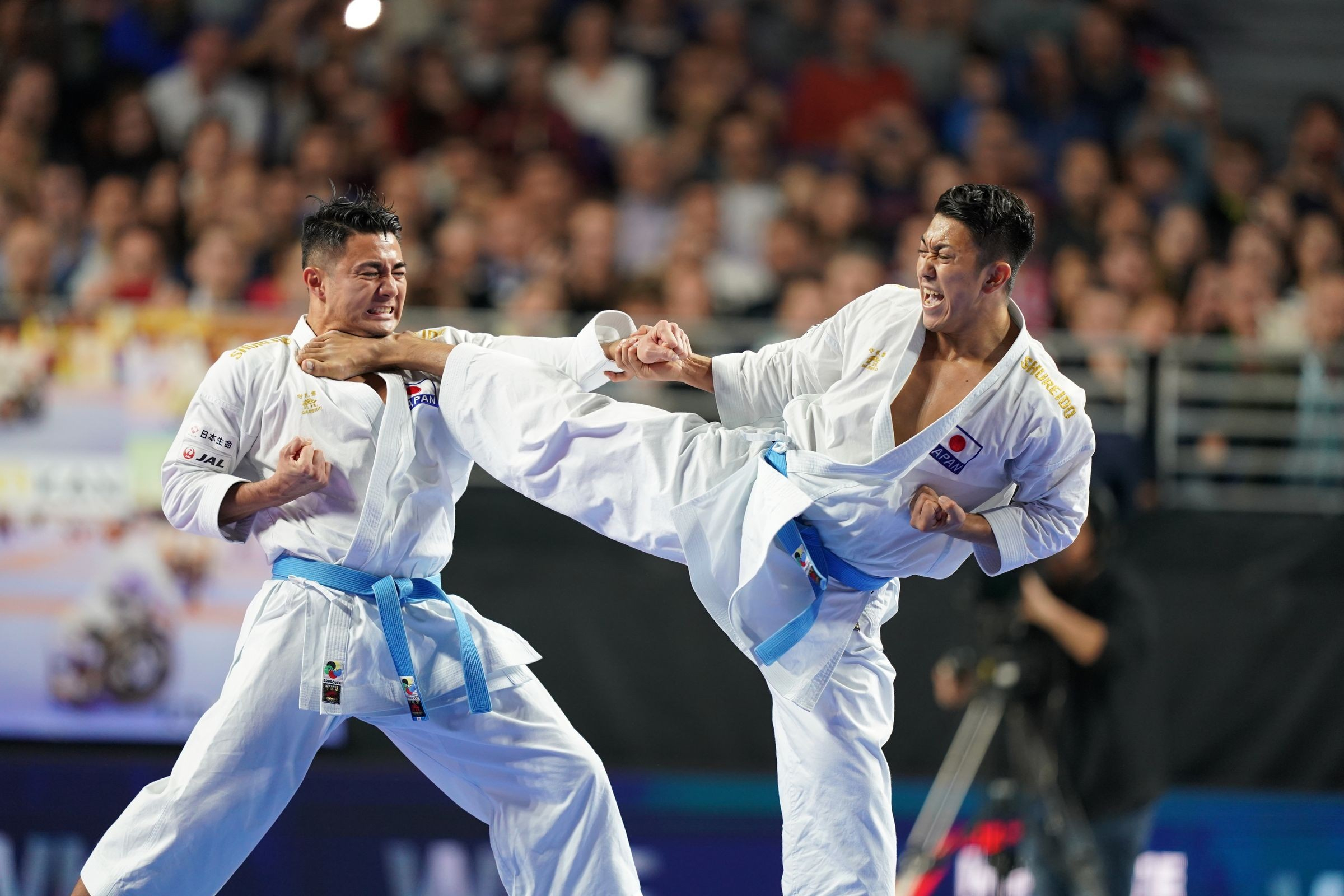 Shojiki Karate Club | Karate Classes in Fife & Kinross