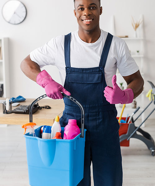 Domestic Cleaning