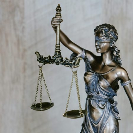Premium Online Law Tutoring